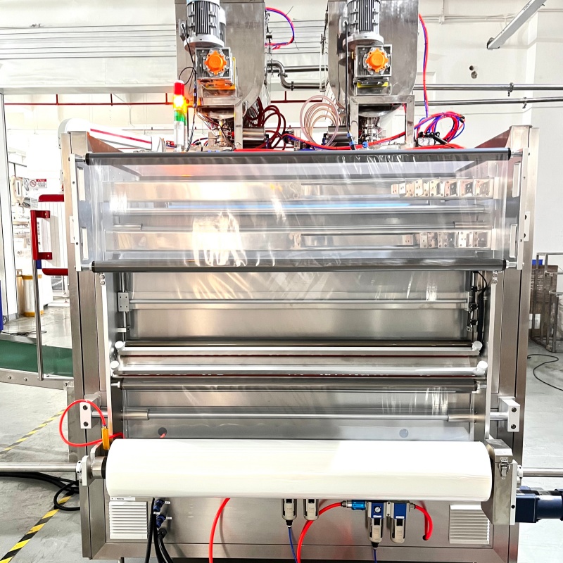 USA Custom 10 Lines Ketchup Sachet Packing Machine